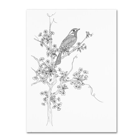 The Tangled Peacock 'Cherry Blossom' Canvas Art,14x19